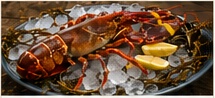 Fresh lobster on ice